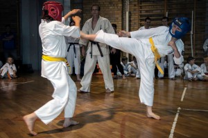 Karate (5)